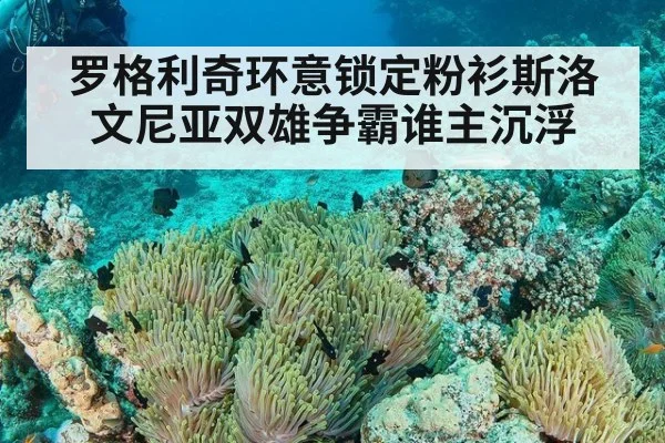 罗格利奇环意锁定粉衫斯洛文尼亚双雄争霸谁主沉浮