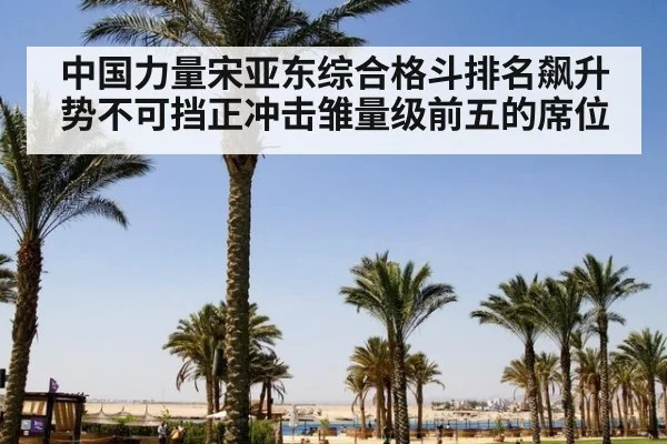 中国力量宋亚东综合格斗排名飙升势不可挡正冲击雏量级前五的席位