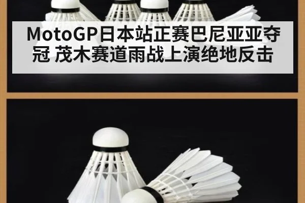 MotoGP日本站正赛巴尼亚亚夺冠 茂木赛道雨战上演绝地反击
